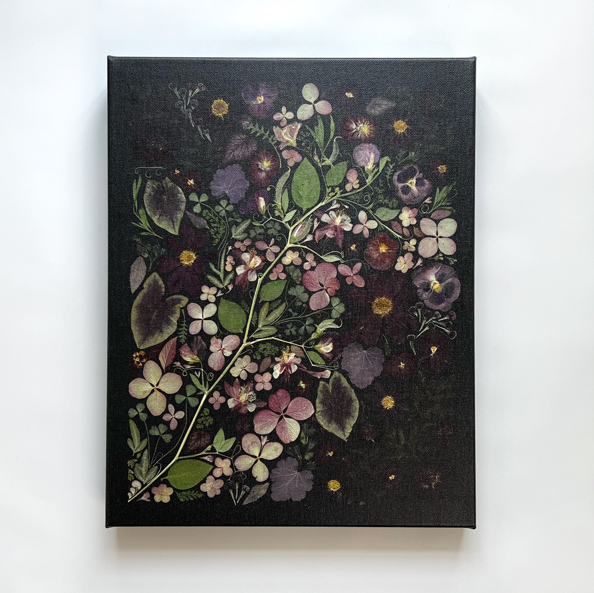 A black satin finish canvas on a white background. The canvas is a display of pressed flowers all arranged artfully appearing to come from a long stem with leaves. 