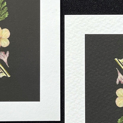 There are two pieces of paper side by side. Each has a white border and there is a black background with a few pressed flowers on the edge of the photo. 