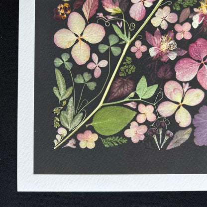 A close up of a corner of a piece of art. There is a black background and a thick white border on the paper. The art has clover, ferns, hydrangeas, fuchsia, pansies, and sweet pea vines and leaves. 