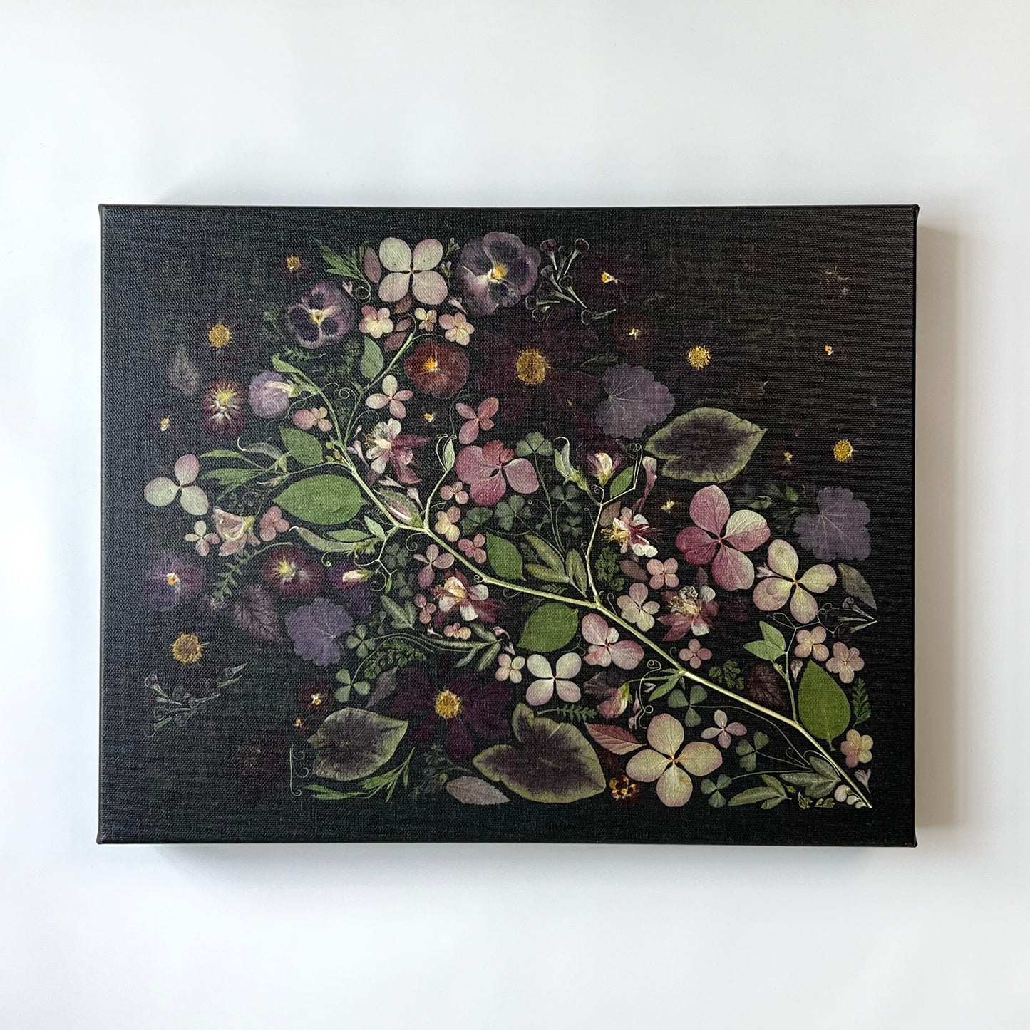 A black satin finish canvas on a white background. The canvas is a display of pressed flowers all arranged artfully appearing to come from a long stem with leaves.