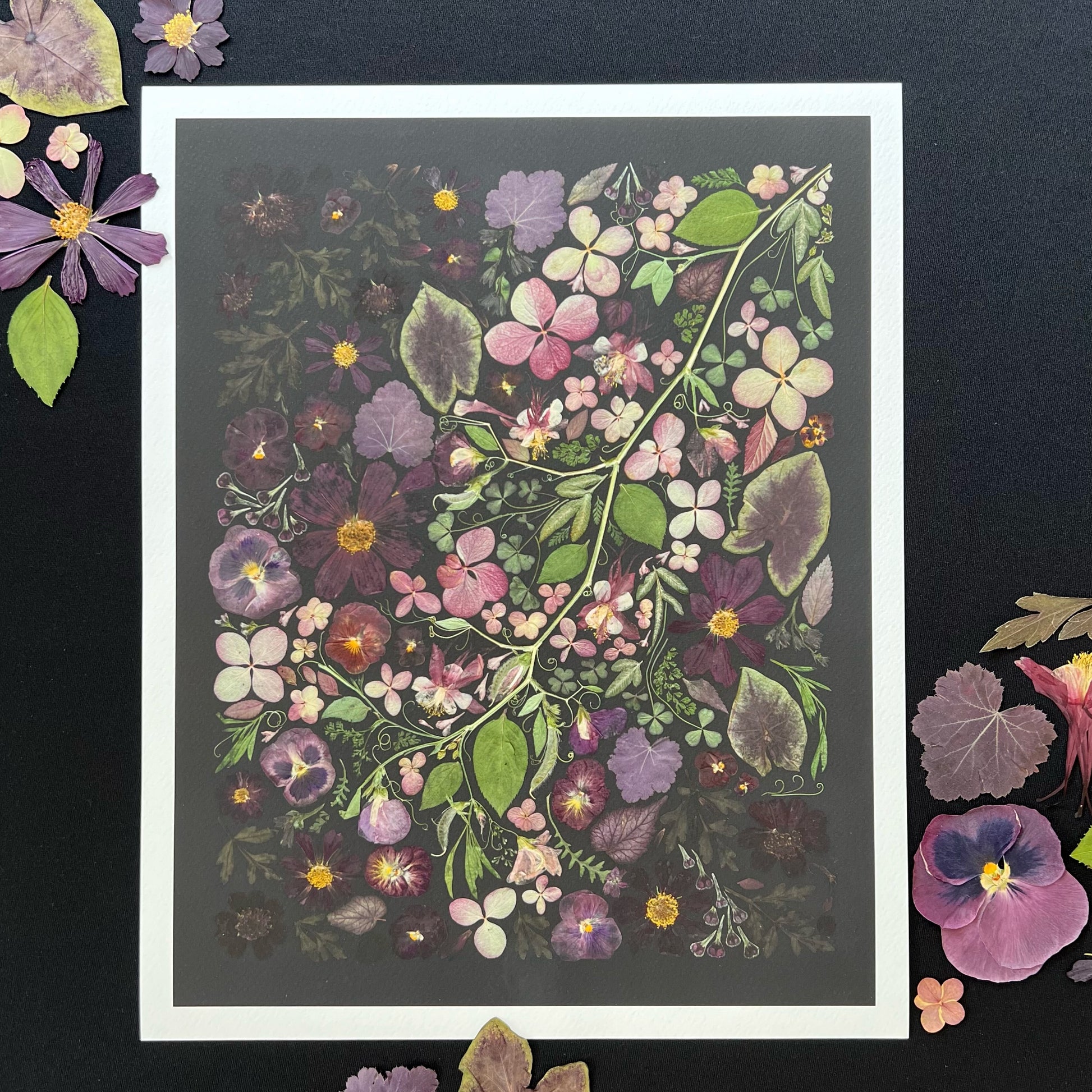 A black picture with a white trim is sitting on top of black fabric. The art has pressed flowers in a variety of colors appearing to come from a vine. There are several loose pressed flowers laying on the fabric and a few are touching the white border. 