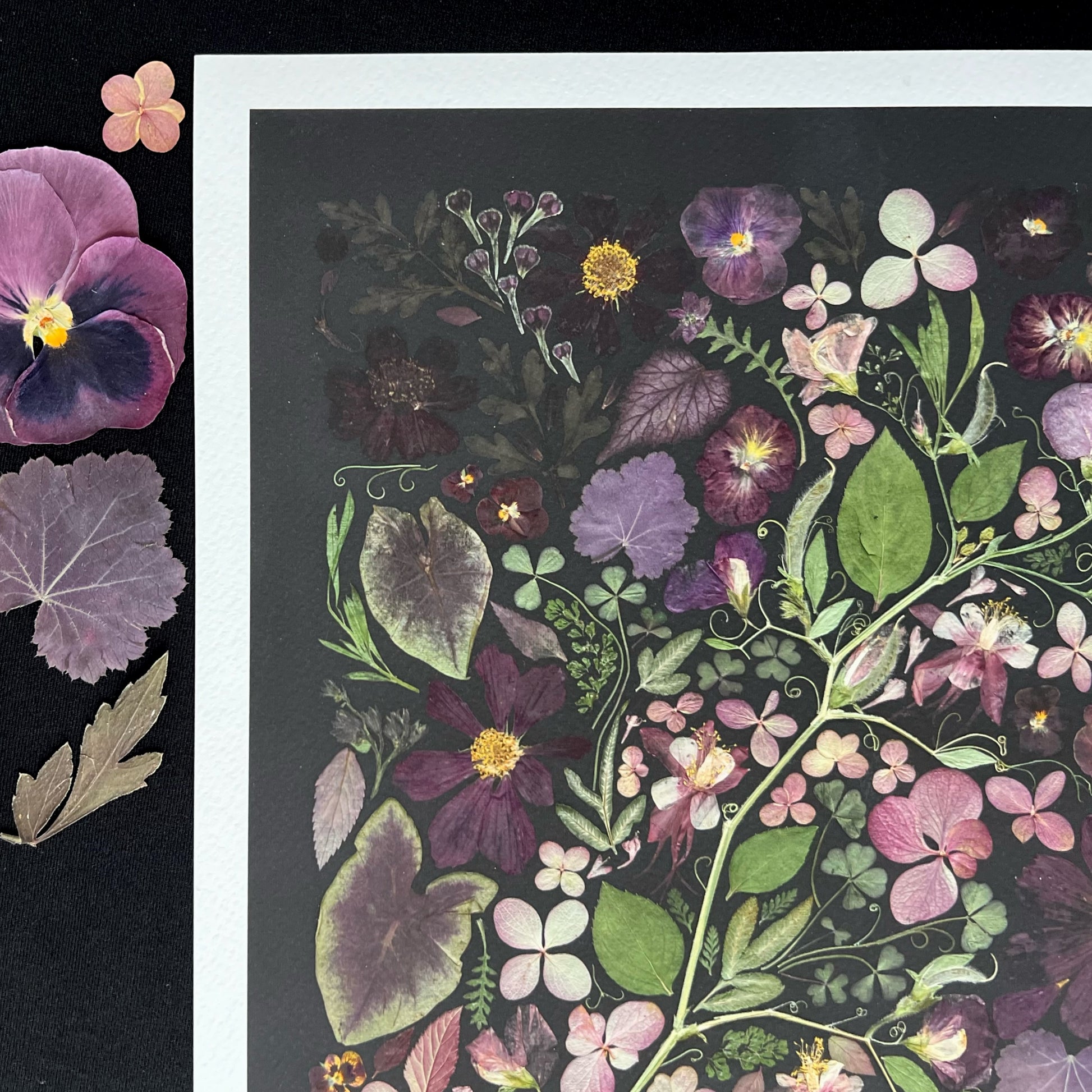 An art print with a white border is on top of a black background. There are purple flowers and a leaf, all pressed on the fabric. The art is a picture of many pressed flowers of a variety of colors and shapes. 