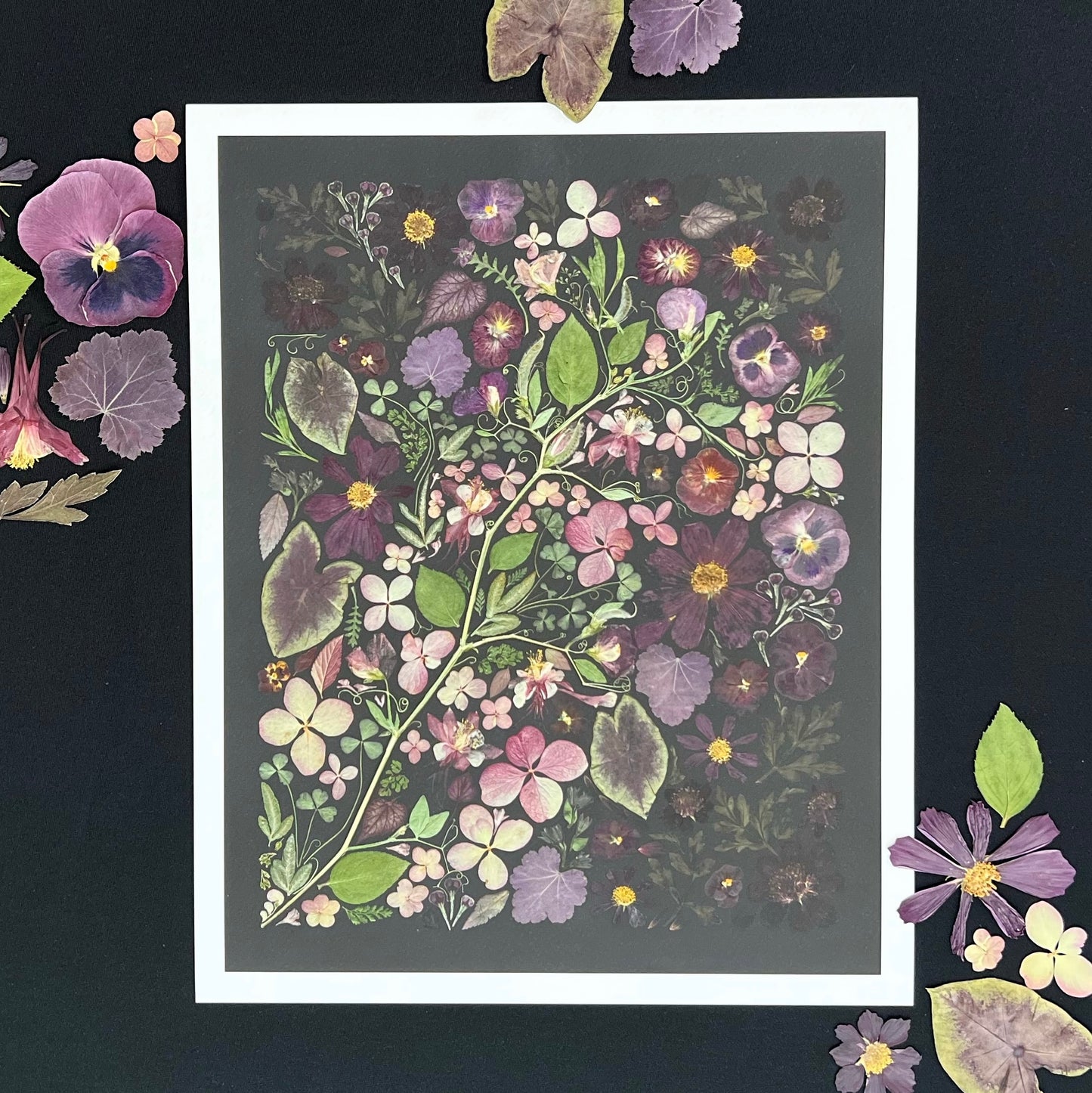 A black picture with a white trim is sitting on top of black fabric. The art has pressed flowers in a variety of colors appearing to come from a vine. There are several loose pressed flowers laying on the fabric and a few are touching the white border.