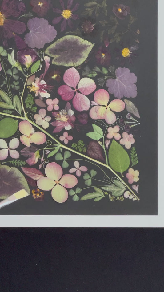 Many pressed flowers on a black background print. The print has a white border. A black small paintbrush comes into view and brushes off three small flowers which show how realistic the print it. 